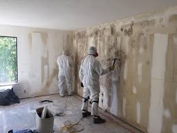 Best Mold Odor Removal Services  in Stillwater, MN